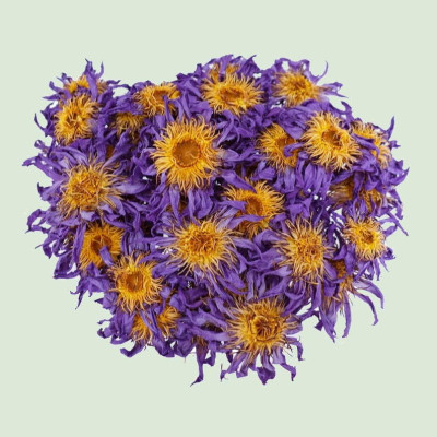 Fleurs séchées de lotus bleu