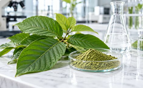 What Is Mitragynine? A Plain Guide | GoPure.shop