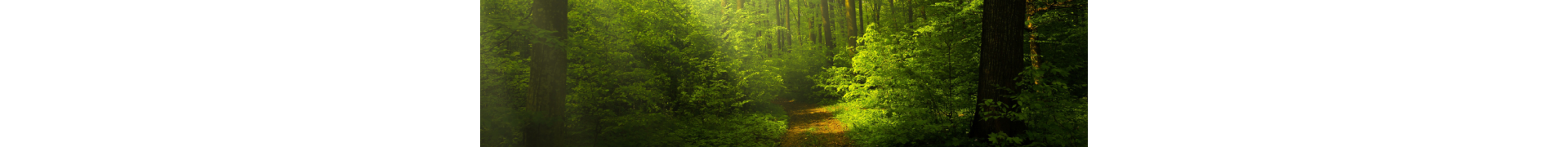 Kratom Probierpakete & Kombos